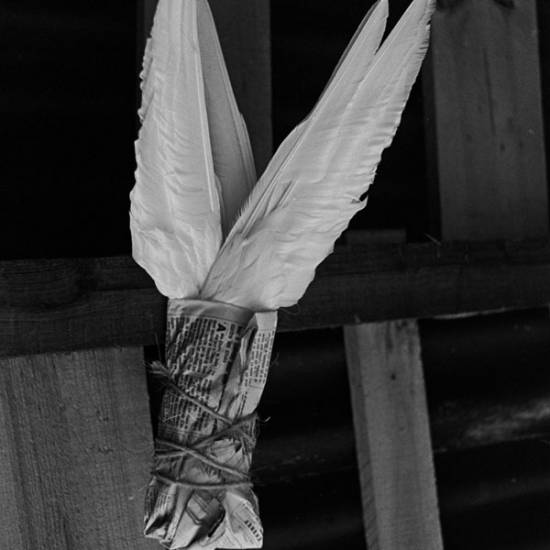 Vernissage de l’exposition Fleuves